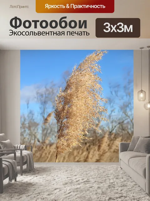Фотообои В Камарге Рид
