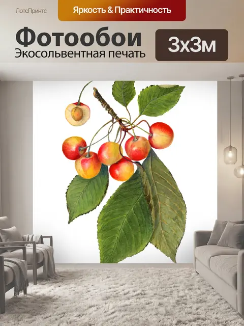 Фотообои Фрукты винтажные вишни арт