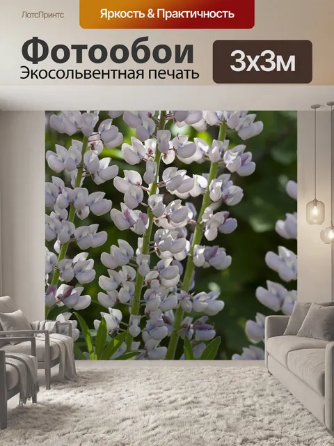 Фотообои Люпин