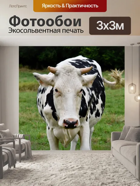 Фотообои Корова