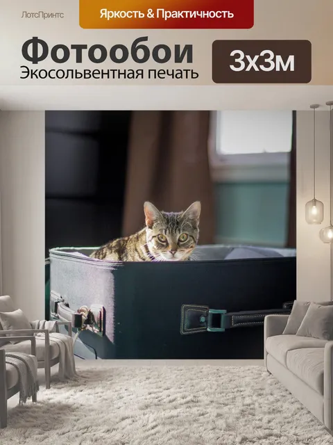 Фотообои Путешествовать