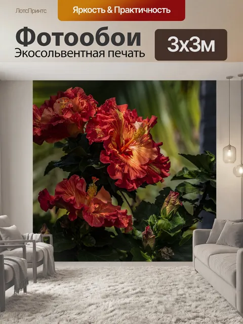 Фотообои Цветок гибискуса