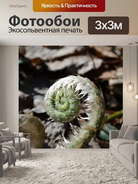 Фотообои Fiddlehead