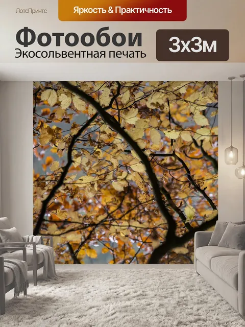 Фотообои Ветви деревьев с листьями