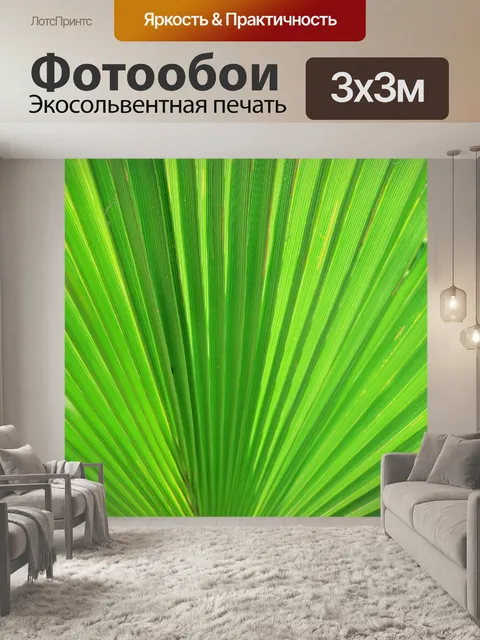 Фотообои пальма, Тип вентилятора лист