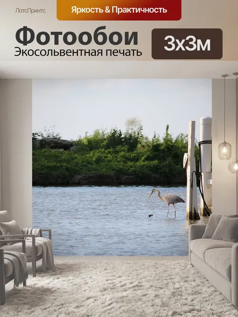 Фотообои Большая голубая цапля