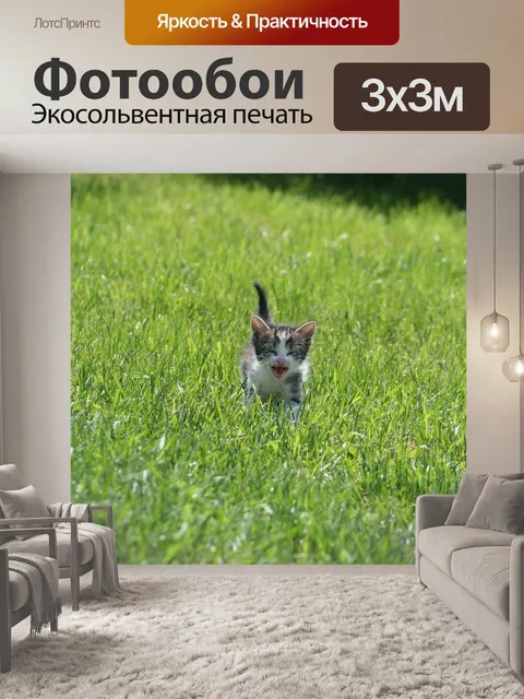 Фотообои Кошка