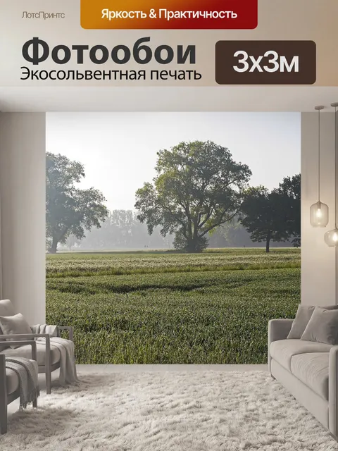 Фотообои Ранняя дымка