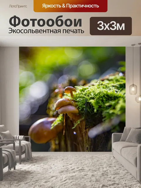 Фотообои Маленькие грибы