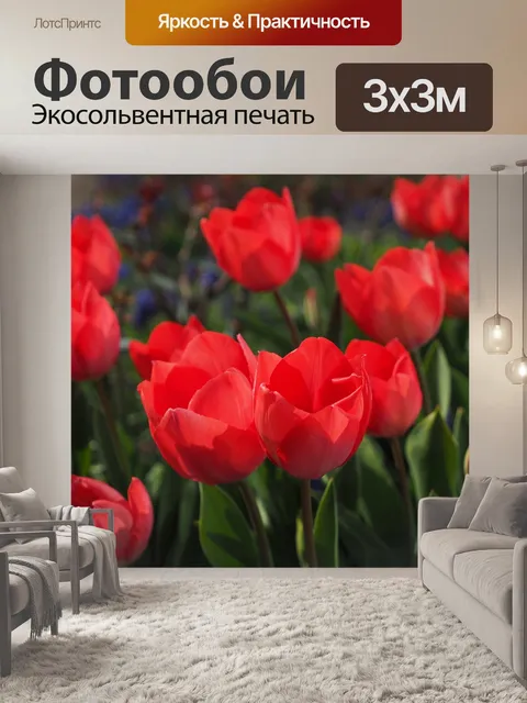 Фотообои Тюльпаны