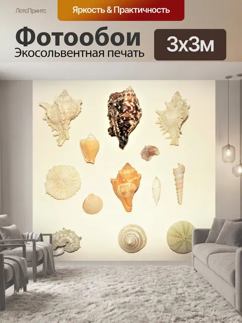 Фотообои Различные морские раковины на белом