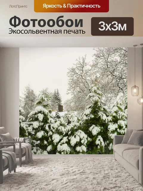 Фотообои Зимний вид