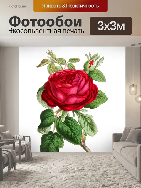 Фотообои Клипарт цветок старинное искусство