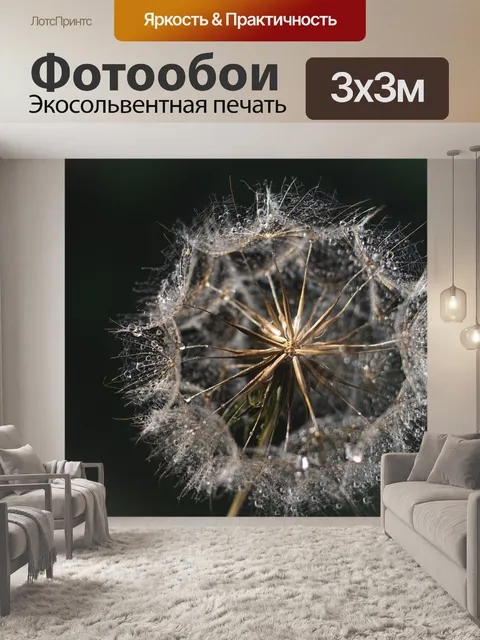 Фотообои Одуванчик