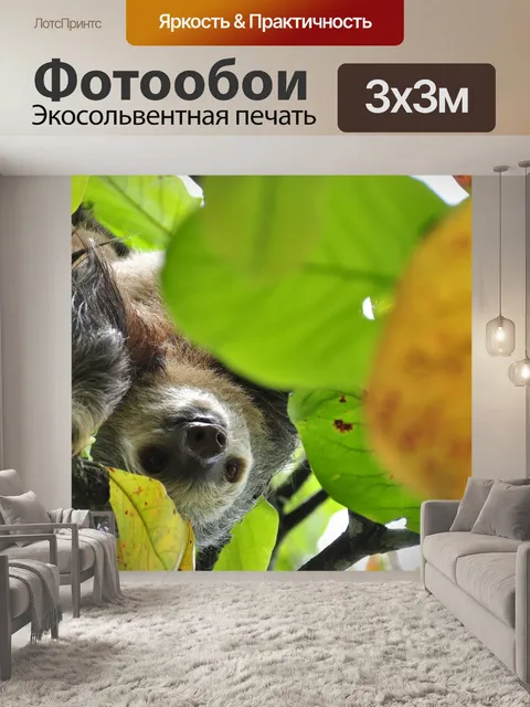 Фотообои Лень