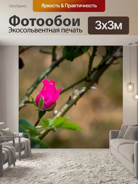Фотообои Красная роза, шип, цветок