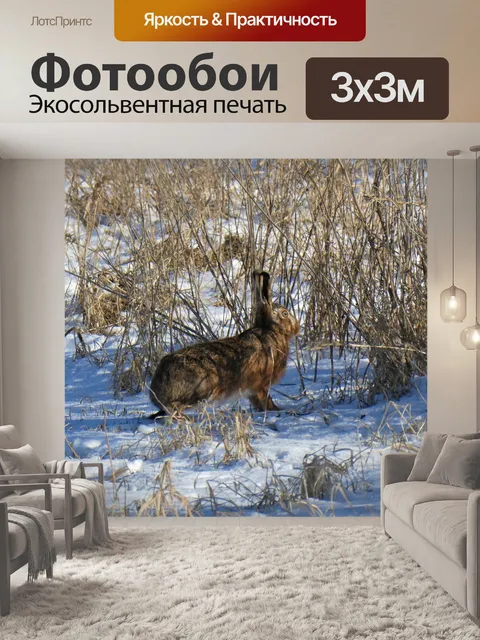 Фотообои Заяц