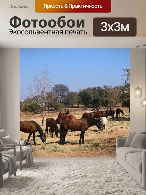 Фотообои стадо коричневых лошадей зимой