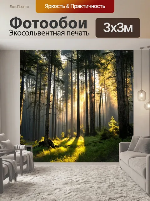 Фотообои густой лес в лучах утреннего солнца с туманом и пробивающимися сквозь деревья солнечными лучами