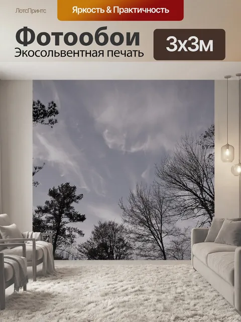 Фотообои Лес