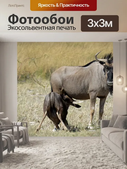 Фотообои Gnu