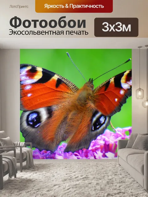 Фотообои Бабочка