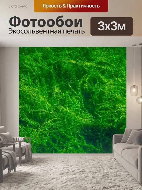 Фотообои зеленые подводные растения