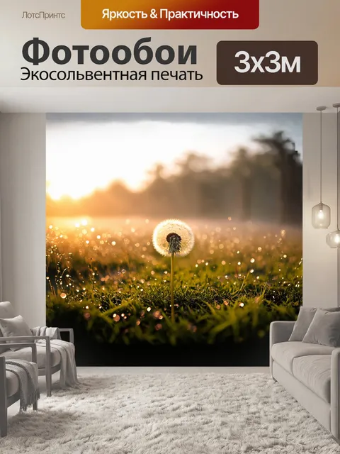 Фотообои одуванчик, окружённый росой, сверкает на закате, когда солнечные лучи окрашивают его в золотистые тона
