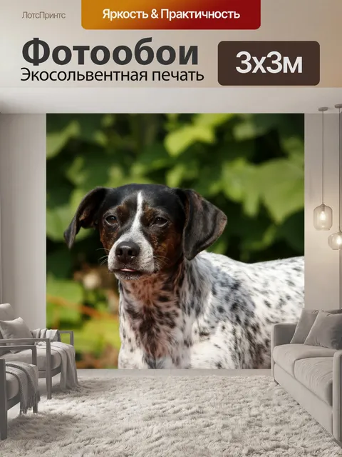 Фотообои Собака с языком торчали