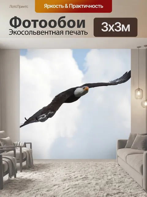 Фотообои Орел