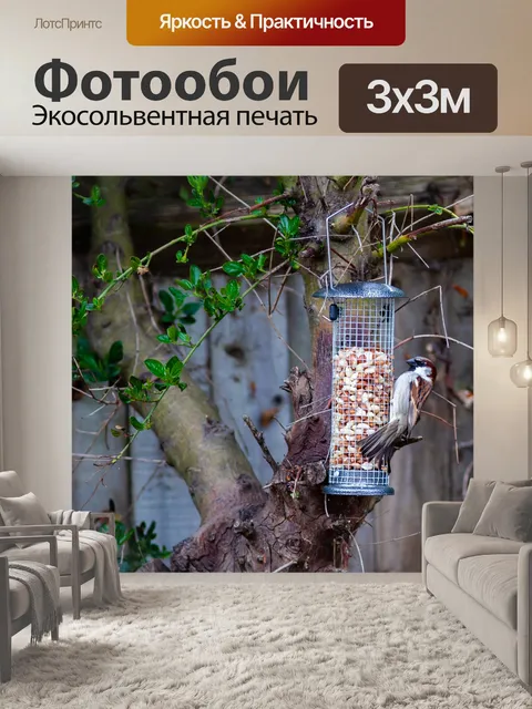 Фотообои Воробей
