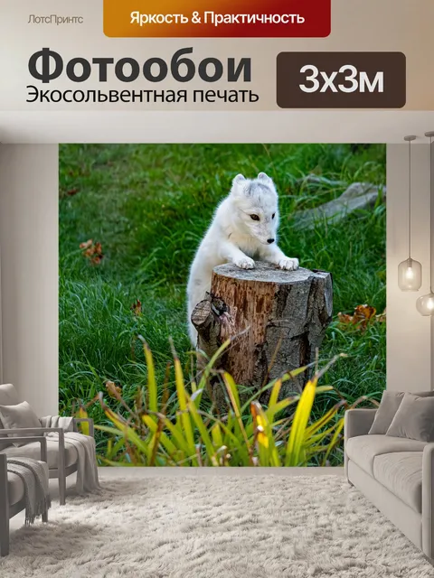 Фотообои Песец