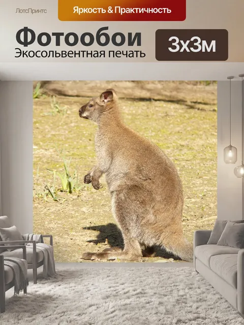 Фотообои Валлаби с красной шеей
