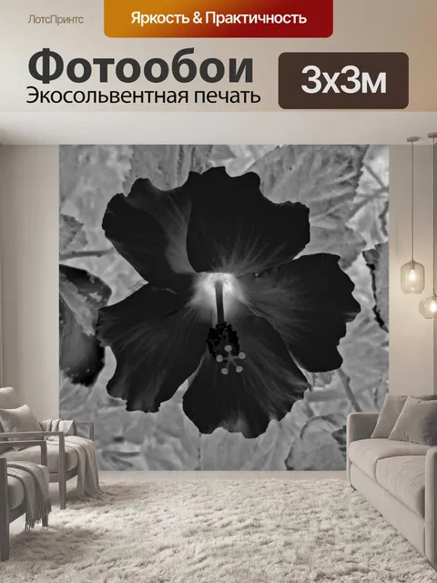 Фотообои гибискус черный и белый