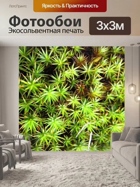 Фотообои Трава