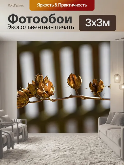 Фотообои Еда