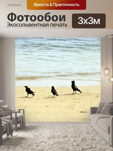 Фотообои Вороны на пляже