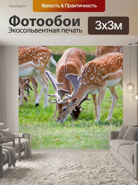 Фотообои Оленьего стада крупным планом