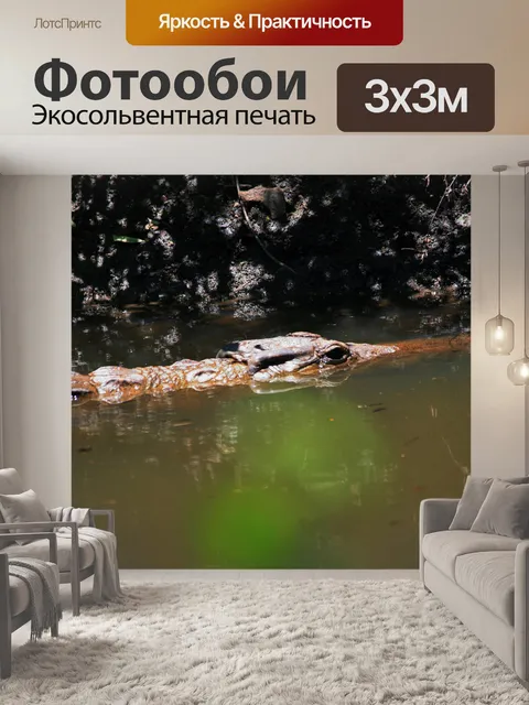 Фотообои крокодил в воде