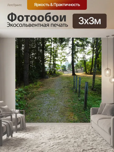 Фотообои Проселочная дорога