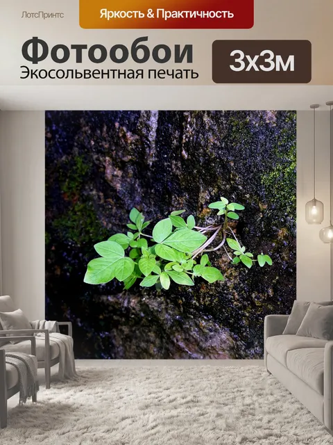 Фотообои Старый