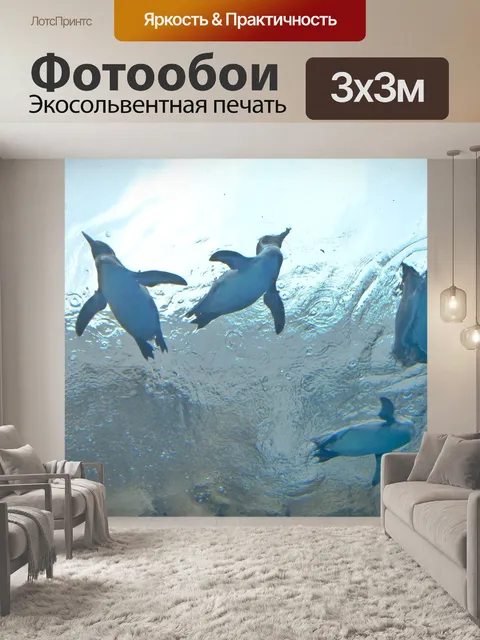 Фотообои Пингвин
