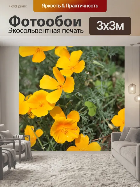 Фотообои Желтый цветок