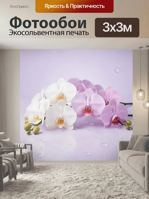Фотообои Белые и розовые орхидеи