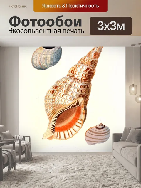 Фотообои Раковина улитка винтажное искусство