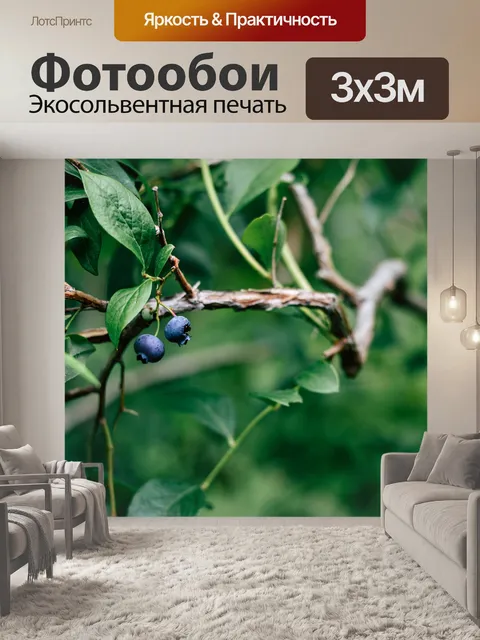 Фотообои Куст черники