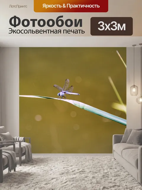 Фотообои Стрекоза