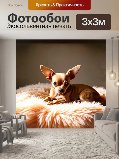 Фотообои на светлом фоне, в центре композиции, изображена чихуахуа, свернувшаяся калачиком на мягком пледе