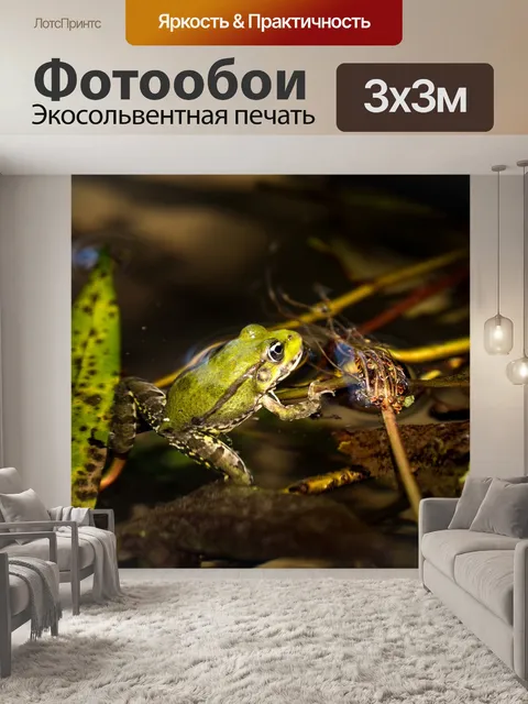 Фотообои Лягушка зеленая красавица