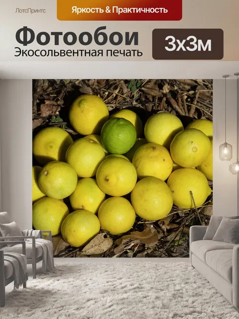 Фотообои Лаймы
